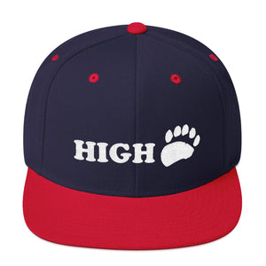 High 5 Bear Paw Snapback Hat